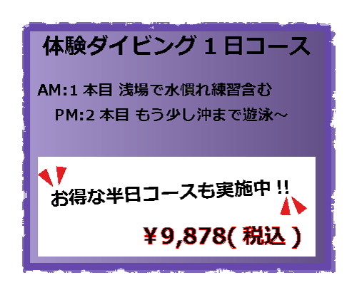 体験ダイビング1日コース