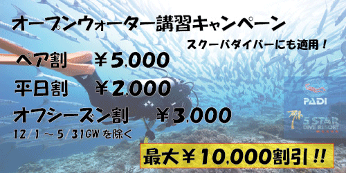 割引キャンペーン